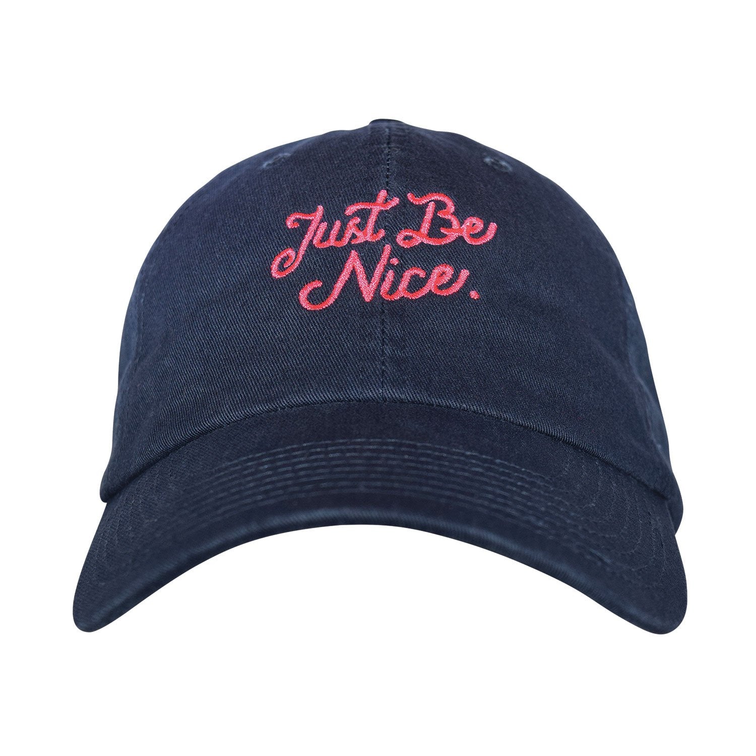 Just Be Nice Dad hat